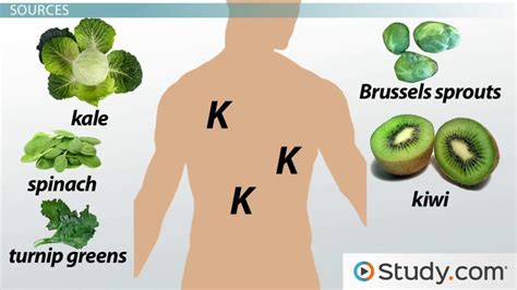 Vitamin K Deficiency & Toxicity | Symptoms, Causes & Treatments - Lesson | Study.com