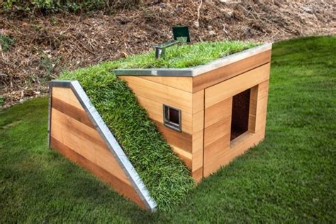 10 Best Insulated Dog House Reviews You Need to Read Before Buying