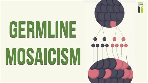 Mosaicisms - Part 1 - Germline Mosaicism - YouTube