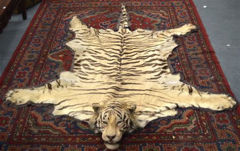 A FINE VICTORIAN FULL LENGTH TAXIDERMY TIGER SKIN RUG of naturalistic ...