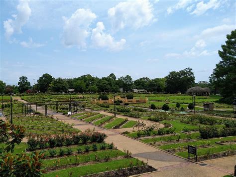 Texas Is Home To The Nation’s Largest Rose Garden – Trips To Discover