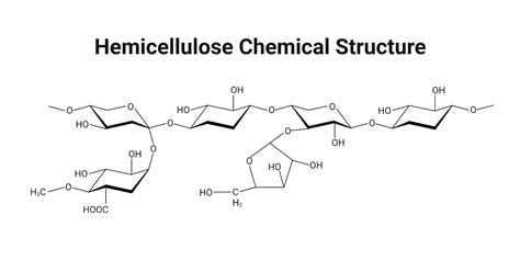 Hemicellulose Chemical Structure | BioRender Science Templates