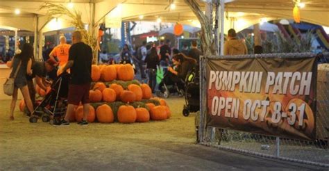 The Halloween Town Pumpkin Patch In Nevada Is A Classic Fall Tradition | Pumpkin patch ...