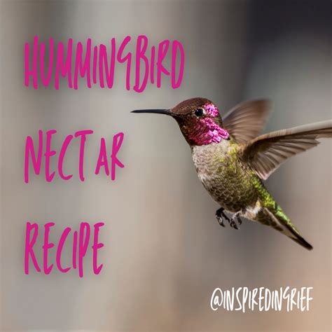 Hummingbird Nectar