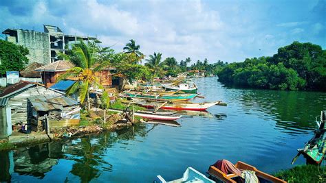 Sri Lanka tour: Fisherman villages and temples in Northern Sri Lanka ...