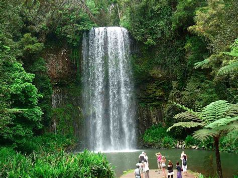 David & Faye's Travels in Australia: Atherton Tablelands Waterfalls, Rivers and Creeks