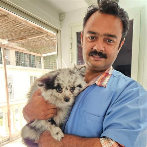 Dr. Jawad N MVSc - Veterinarian - Kerala Government | LinkedIn