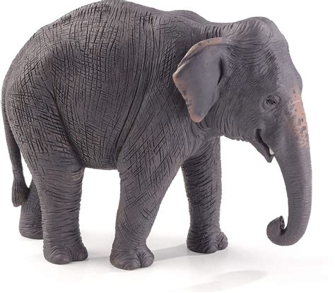 Animal Planet Asian Elephant - Bright Star Toys