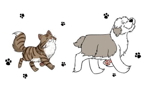 How to Cartoonize your Pet | Petventures Book – petventuresbook