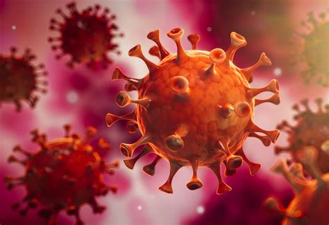 Seventeen further Covid-19 coronavirus cases detected across NHS Highland area, Public Health ...