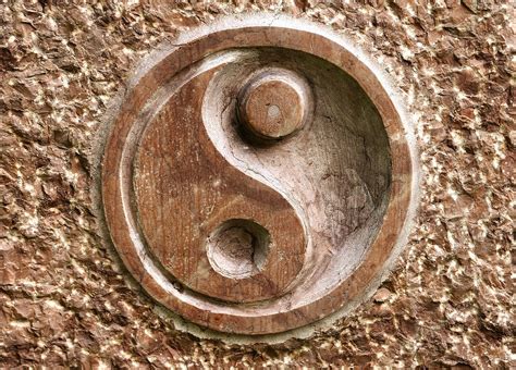 Yin y Yang: Significado, principios y concepto de dualidd