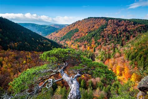 Der Harzer Hexen-Stieg - Den Harz erwandern | Schöne reiseziele ...