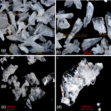 TC - New observations of the distribution, morphology and dissolution dynamics of cryogenic ...