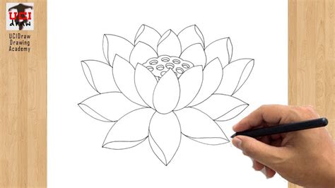 Lotus Flower Outline Drawing | Best Flower Site