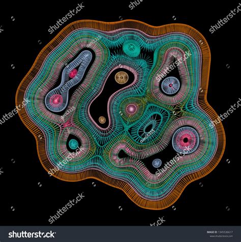 Cross Section Of An Organic Cell With Intracellular Organelles. Medical Science And Research ...