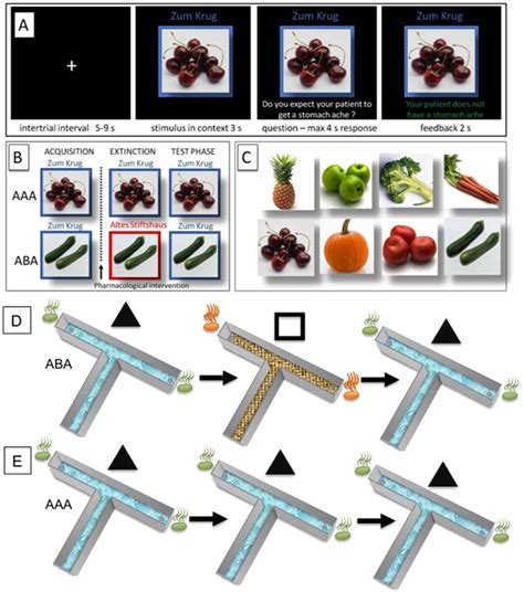 Principles of extinction learning of nonaversive experience