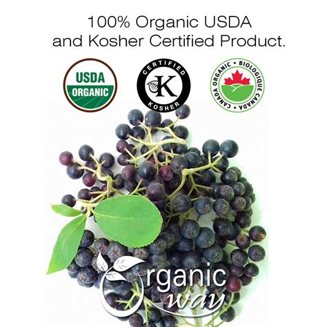 Organic Way Chokeberries Fruit/Aronia Berry Whole (Aronia Melanocarpa) - European Wild-Harvest ...