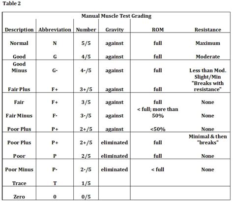 Manual Muscle Strength Test