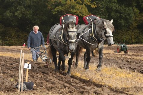 The Ploughing Match | Ploughing Match, East Sussex. 4 Octobe… | Flickr