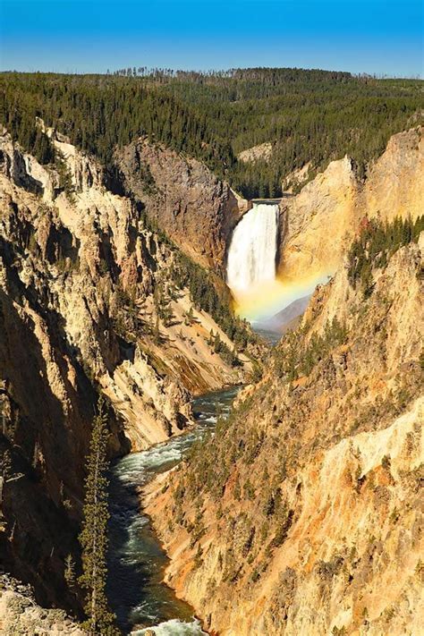 artist point yellowstone elevation - Sarita Dodson