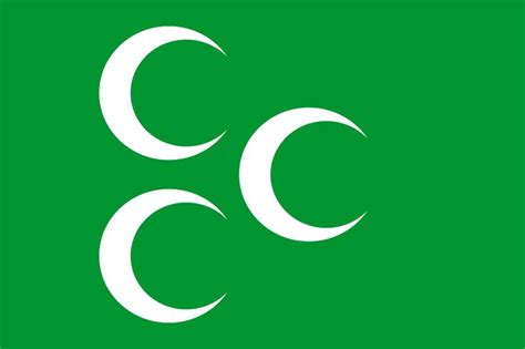 Flag of the Ottoman Caliphate (1844–1924) | Ottoman flag, Flag ...