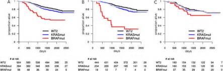 Overall survival: prognostic value of BRAF and KRAS mutations within... | Download Scientific ...