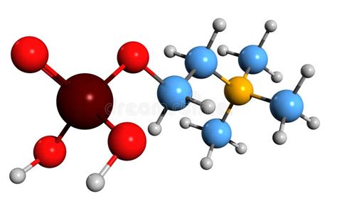 Phosphatidylcholine Stock Illustrations – 81 Phosphatidylcholine Stock Illustrations, Vectors ...