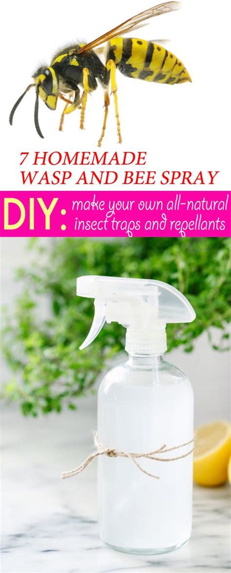 7 Useful Homemade Wasp And Bee Spray - Kill Them Safely | Wasp repellent, Bee spray, Insect spray