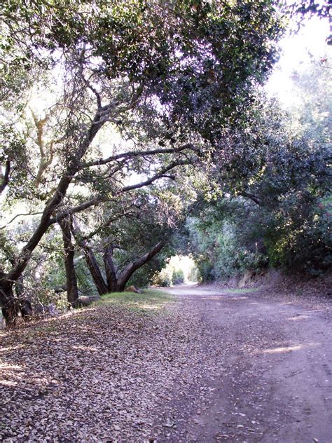 Oak Canyon Nature Center