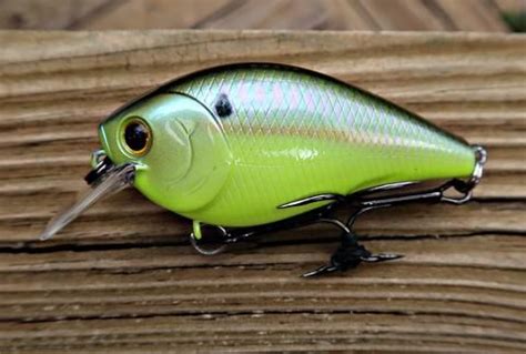 Crankbait Fishing for Bass - TackleXpert