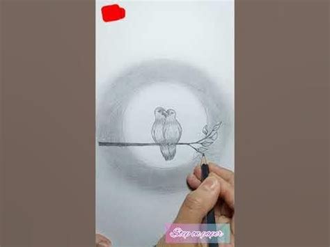 How to draw a pair of parrots on a tree branch/Drawing Bird tutorial/ pencil sketch in 2023 ...