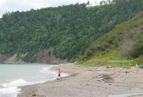 Day Tripping - Fundy Trail Parkway