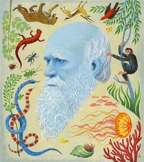 Darwin - Jody Hewgill | Illustration, Illustration design, Illustration art