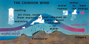 Chinook | The Canadian Encyclopedia