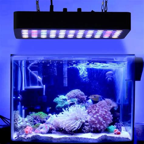 Dimmable 165w Full Spectrum LED Aquarium Lamp Best for Fish Tanks ...