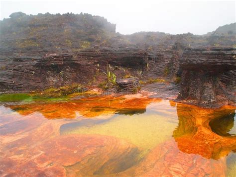 Mount Roraima, Natural Pool, Jacuzzi, Textured Background, South America, Photo Image, National ...