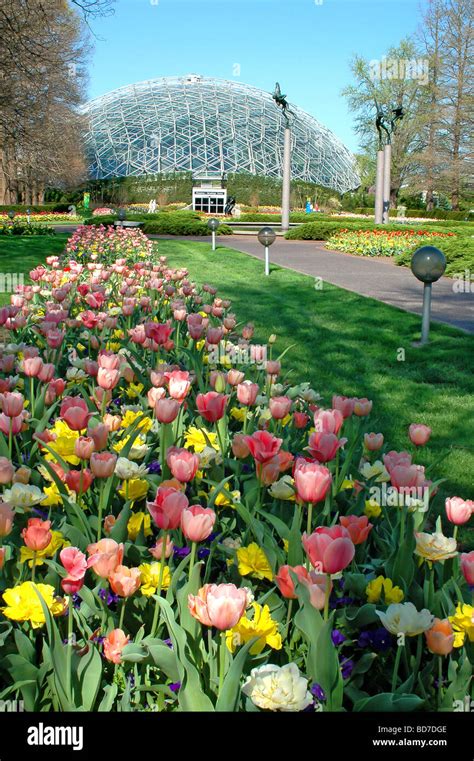 Saint Louis Botanical Garden with view of geodesic dome Stock Photo - Alamy