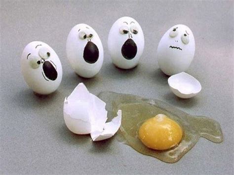 shocked faces to see cracked egg funny picture | FanPhobia - Celebrities Database