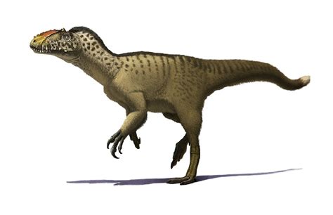 Yutyrannus Pictures & Facts - The Dinosaur Database