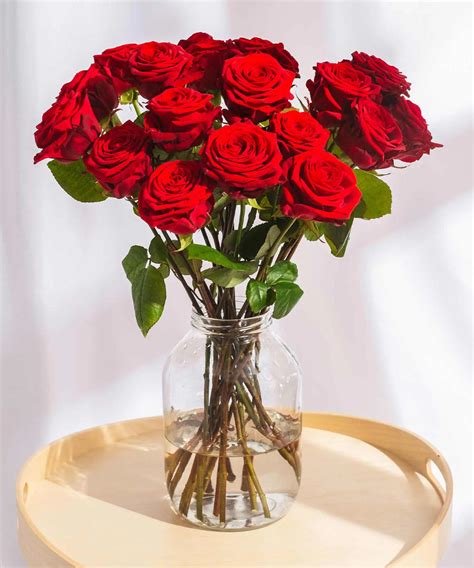 Order beautiful Guernsey Roses online for UK & London Delivery – Guernsey Flowers by Post