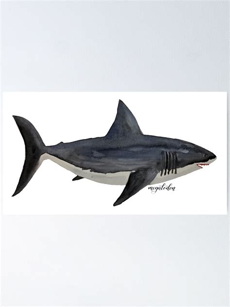 "Megalodon - prehistoric monster shark" Poster for Sale by ...