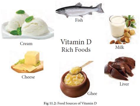 Vitamin D : Functions, Food Sources, Symptoms of deficiency