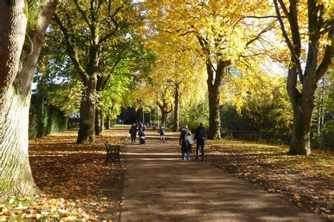 Autumn trees in Bute Park © Philip Halling :: Geograph Britain and Ireland