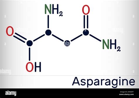 Lewis Structure Of Asparagine