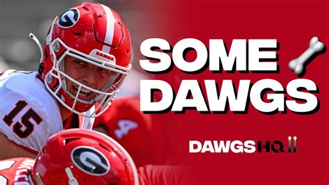 Georgia football players describe 2023 team as 'Just Some Dawgs'