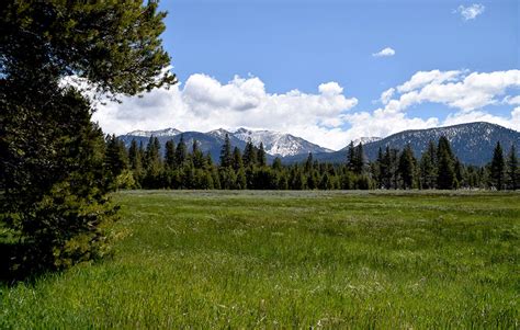 Hiking Washoe Meadows State Park (via Lake Tahoe BLVD in South Tahoe) - Tahoe Trail Guide