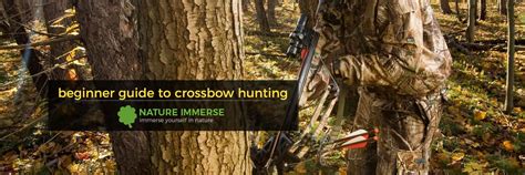 Beginner’s Guide To Crossbow Hunting - Nature Immerse