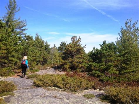 a person hiking up a trail in the woods on a sunny day with blue skies