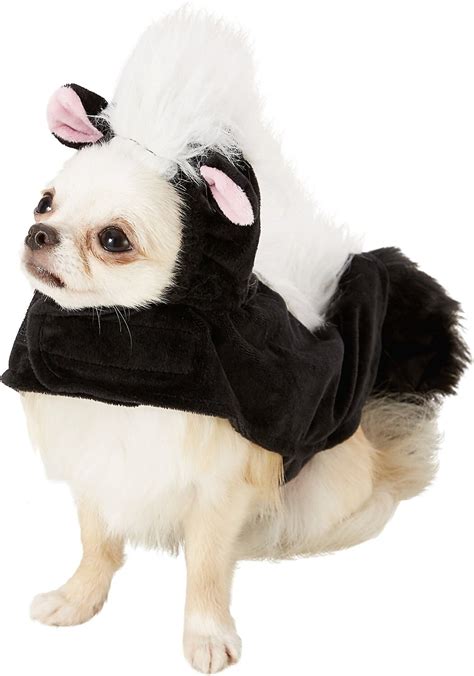 FRISCO Skunk Dog & Cat Costume, X-Small - Chewy.com