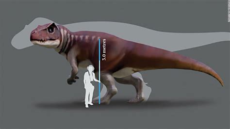 Huge carnivorous dinosaurs lived in Australia, scientists discover - CNN